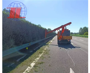 东营高速公路绿...